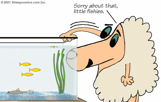 Sheepcomics.com A Fish Story 12