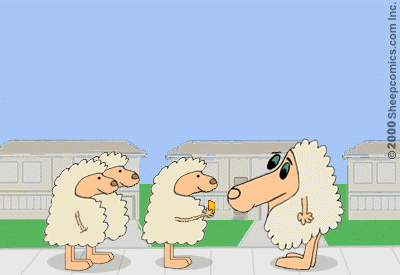 Sheepcomics.com Trading Cards 10